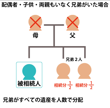 配偶者、子供、両親もいなく兄弟がいた場合兄弟が全ての遺産を人数で分配