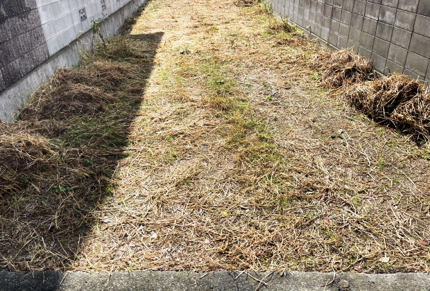 土地　イメージ