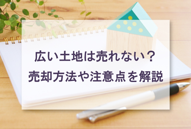 広い土地は売れない？売却方法や注意点を解説