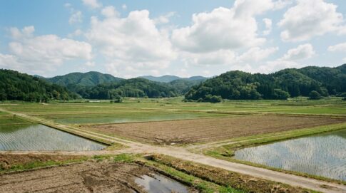 農地を売却する方法