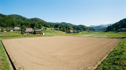相続した土地を売却する方法｜手続き・税金・売れない土地の対処法まで完全ガイド【2026年版】