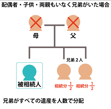 配偶者、子供、両親がいない場合、兄弟姉妹が法定相続人になる